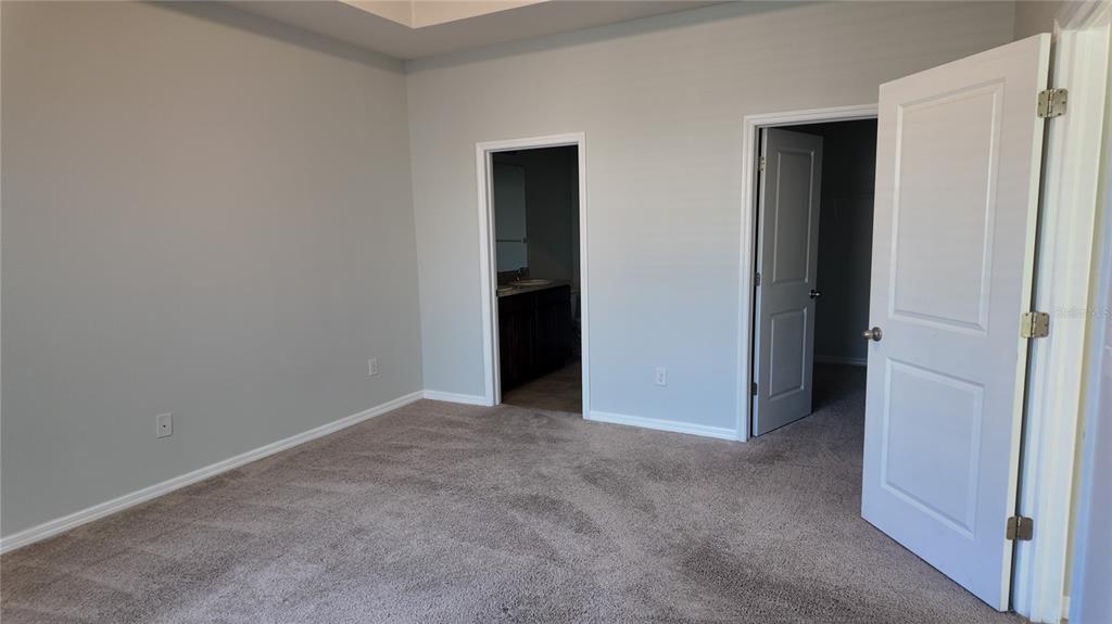 A bedroom with gray walls, beige carpeting, and two doorways leading to a bathroom and closet — 7690 TIMBERVIEW LOOP, WESLEY CHAPEL, FL