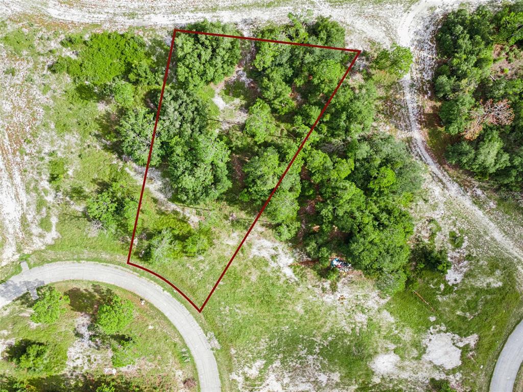 1319 HOMOSASSA COURT, POINCIANA, FL — photo 2 of 16