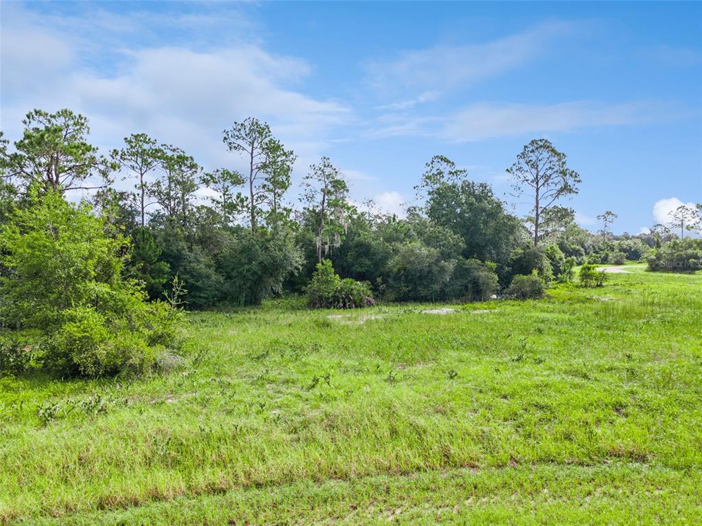 1319 HOMOSASSA COURT, POINCIANA, FL — photo 3 of 16