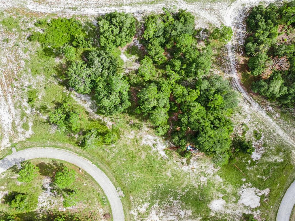 1319 HOMOSASSA COURT, POINCIANA, FL — photo 4 of 16