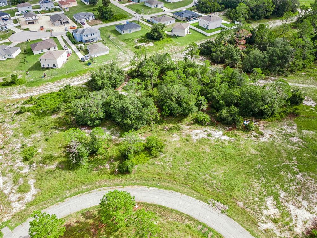 1319 HOMOSASSA COURT, POINCIANA, FL — photo 5 of 16