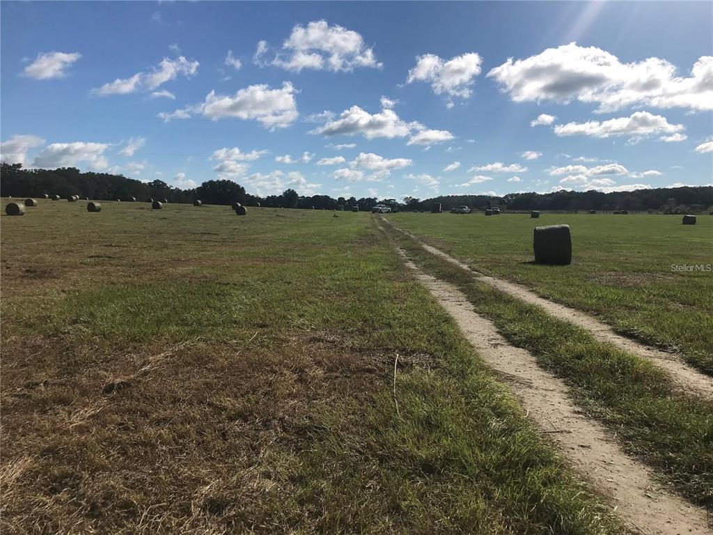 A dirt path leads through a large, grassy field dotted with numerous hay bales — TBD NW 133RD, REDDICK, FL