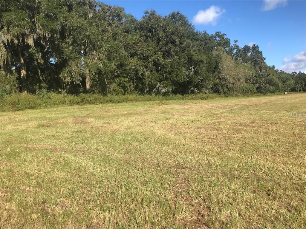 A large, flat, grassy field is bordered by a dense line of mature trees — TBD NW 133RD, REDDICK, FL