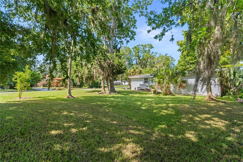 A grassy yard with large trees and a single-story house in the background — 553 S LANVALE AVENUE, DAYTONA BEACH, FL