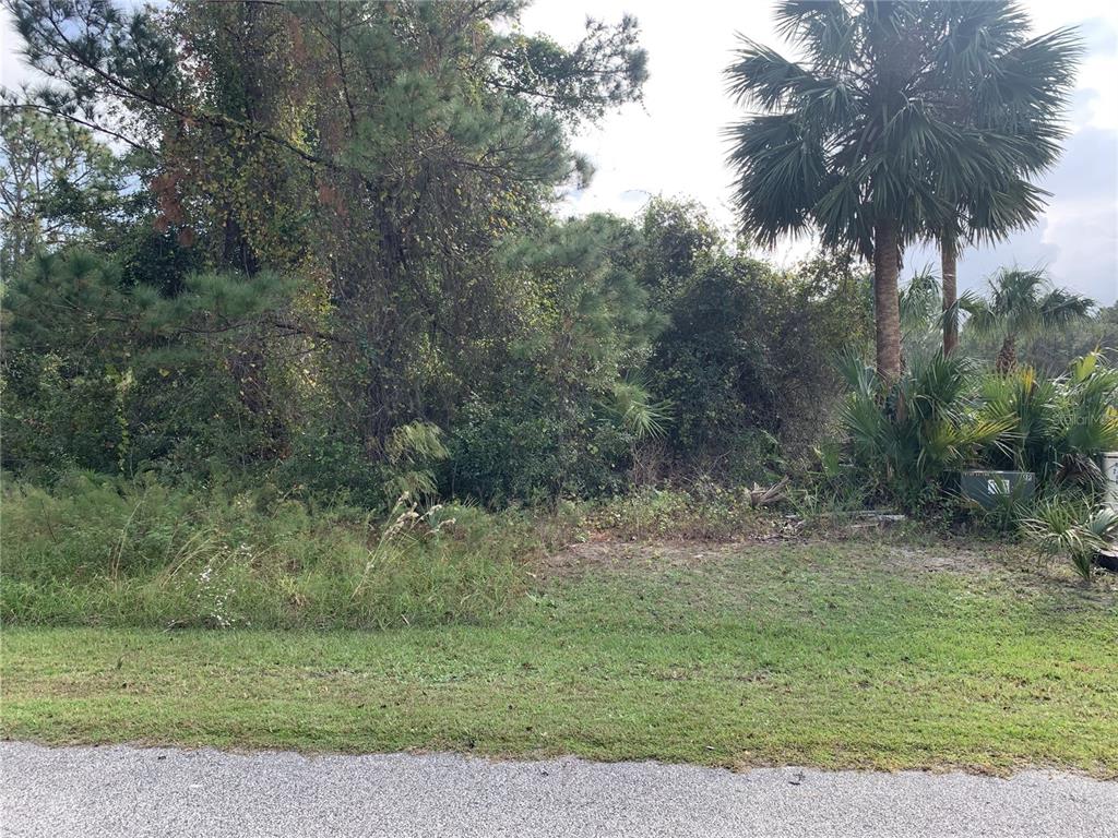 A vacant, heavily wooded residential lot is viewed from the adjacent paved road — 220 LIVE OAK BOULEVARD, CRESCENT CITY, FL