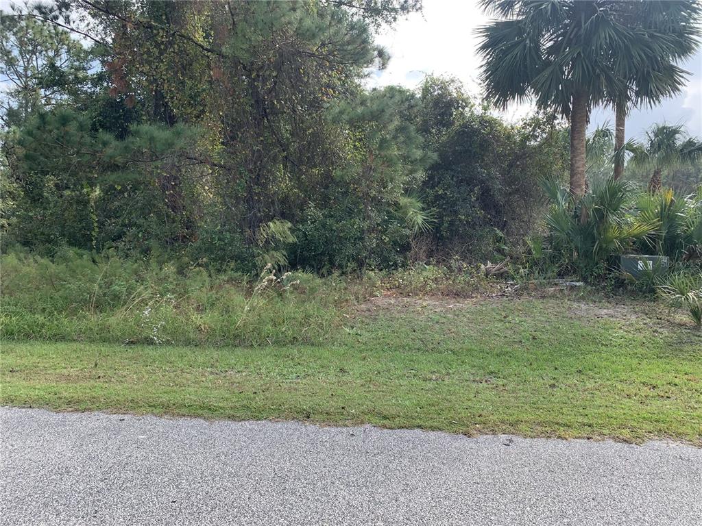A vacant, wooded residential lot sits behind a grassy verge and an asphalt road — 220 LIVE OAK BOULEVARD, CRESCENT CITY, FL