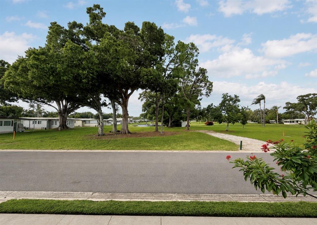 A paved road runs in front of a grassy lot with large trees and mobile homes — 1100 BELCHER ROAD S UNIT 304, LARGO, FL
