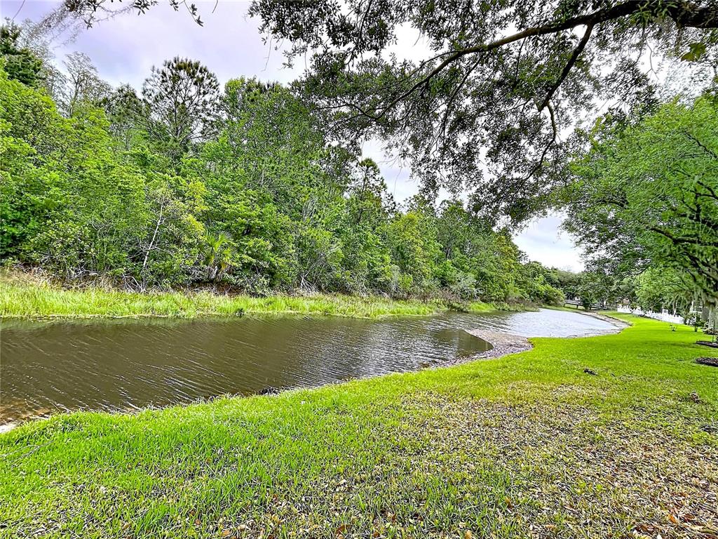A backyard view of a house with a screened-in patio and a small charcoal grill — 27509 EDENFIELD DRIVE, WESLEY CHAPEL, FL
