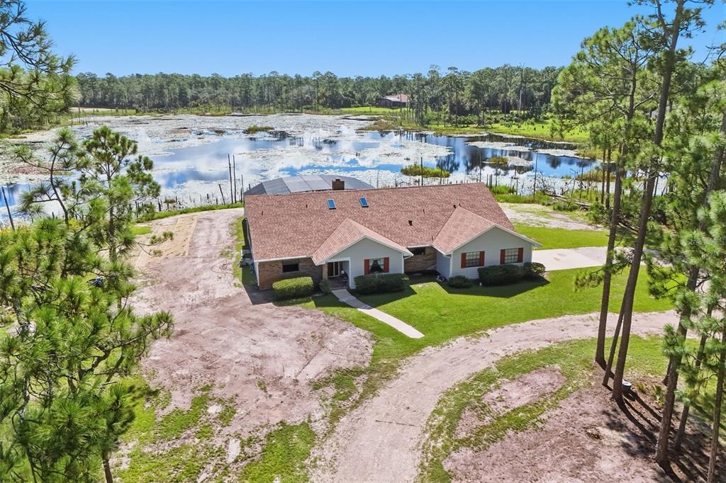A gravel driveway curves through a wooded lot with tall pine trees and green grass — 349 SEMINOLE WOODS BLVD, GENEVA, FL