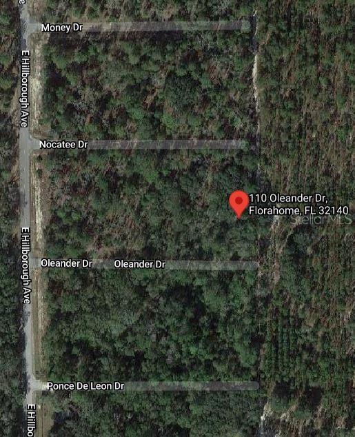 This is a satellite map view of a wooded residential lot in a rural area — 110 OLEANDER DRIVE, FLORAHOME, FL