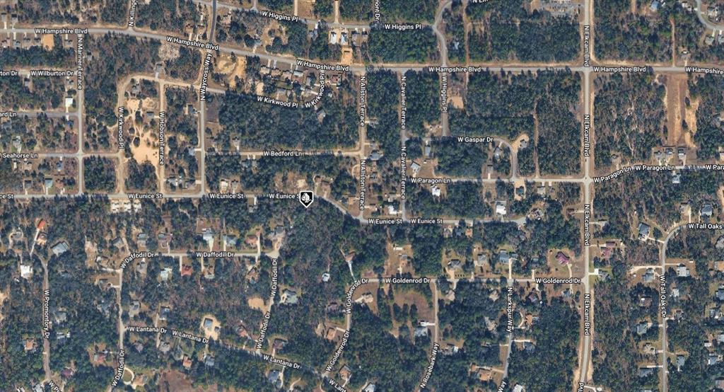 3012 W EUNICE DRIVE, DUNNELLON, FL — photo 3 of 3