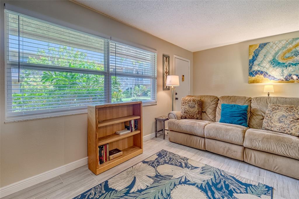 A living room features a beige sofa, a wooden bookshelf, and a large window — 10039 62ND AVENUE N UNIT 2, ST PETERSBURG, FL