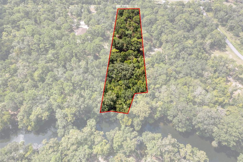 An aerial view shows a wooded plot of land outlined in red near a river — 13707 W FOSS GROVES PATH, INGLIS, FL