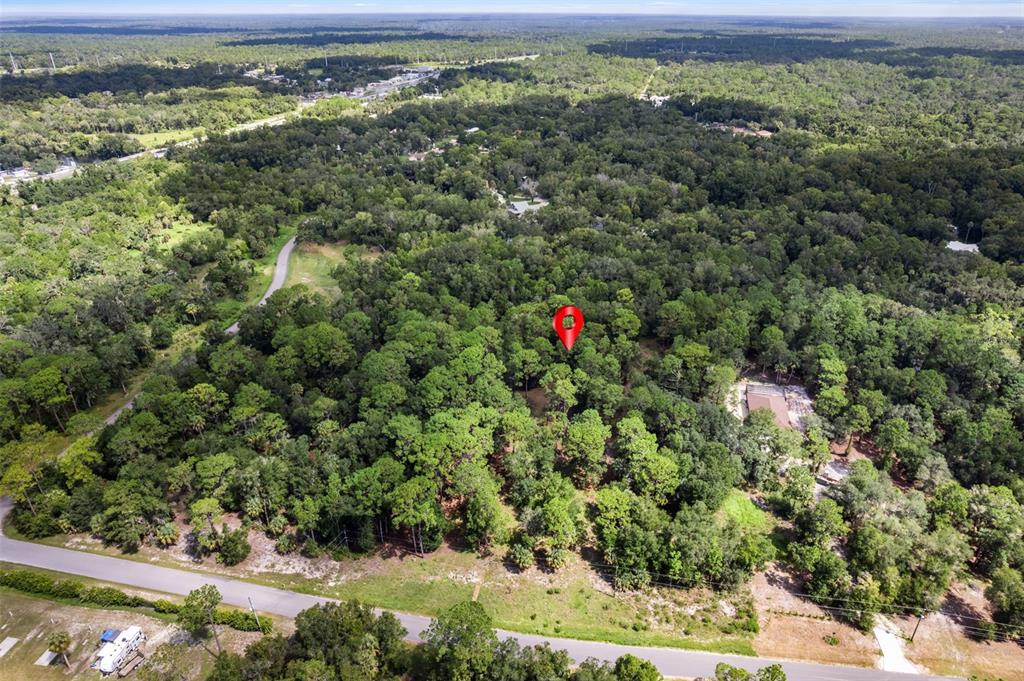An aerial view shows a wooded lot marked with a red pin near a road — 13707 W FOSS GROVES PATH, INGLIS, FL