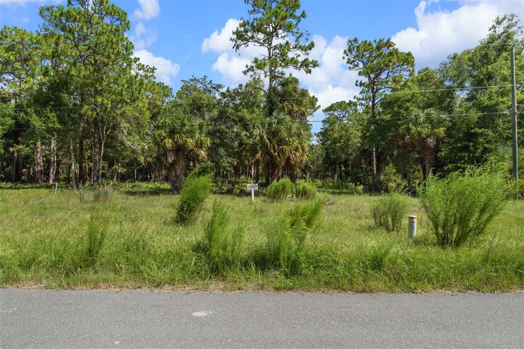 A grassy, undeveloped lot with scattered trees and shrubs sits along a paved road — 13707 W FOSS GROVES PATH, INGLIS, FL