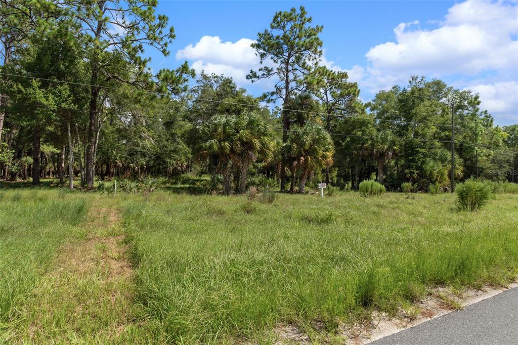 A grassy, undeveloped lot features scattered trees and palms under a blue sky — 13707 W FOSS GROVES PATH, INGLIS, FL
