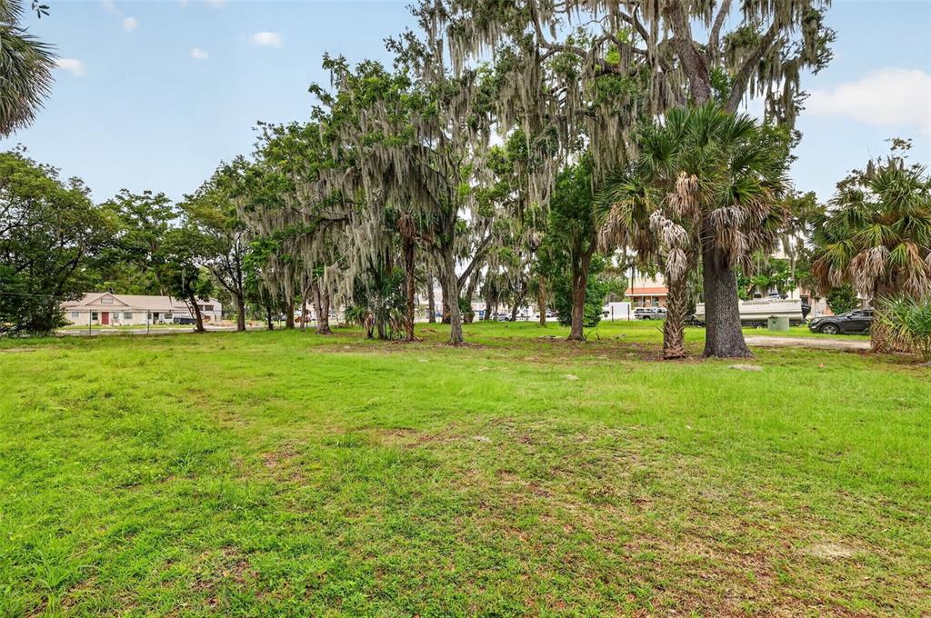 A grassy, vacant lot features several large trees draped with Spanish moss under a blue sky — 703 W MAGNOLIA STREET, LEESBURG, FL