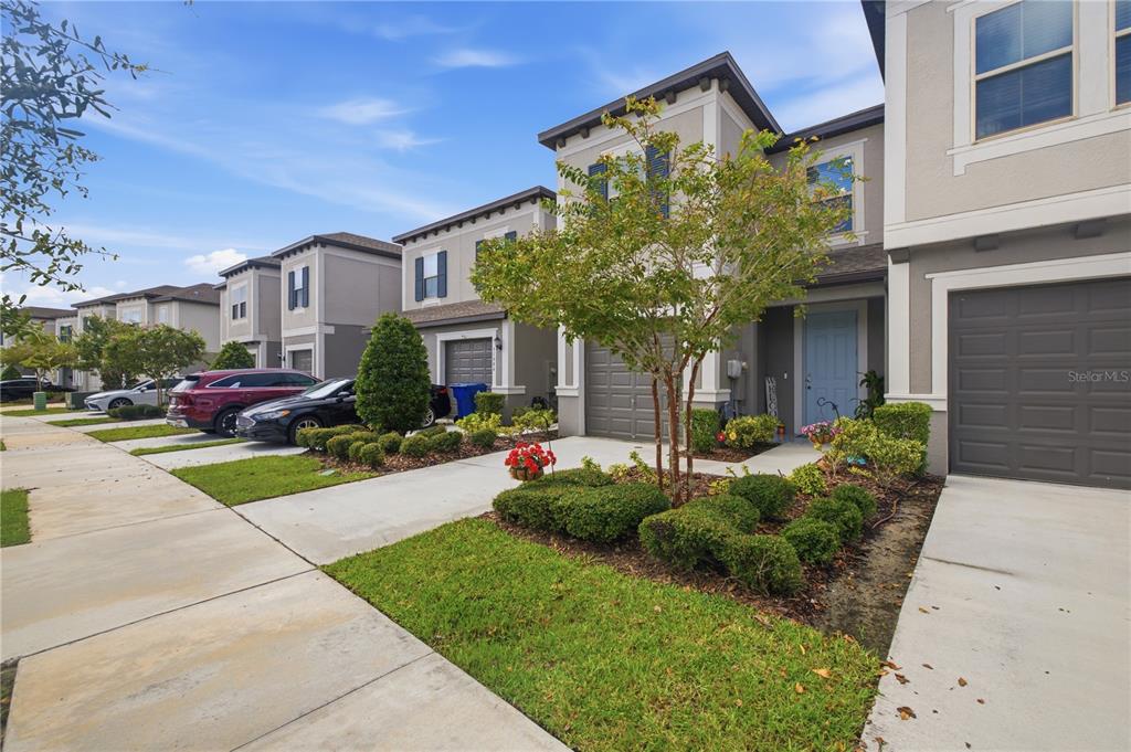A row of two-story townhouses with gray garages, light blue front doors, and landscaped front yards — 31990 BLUE PASSING, WESLEY CHAPEL, FL
