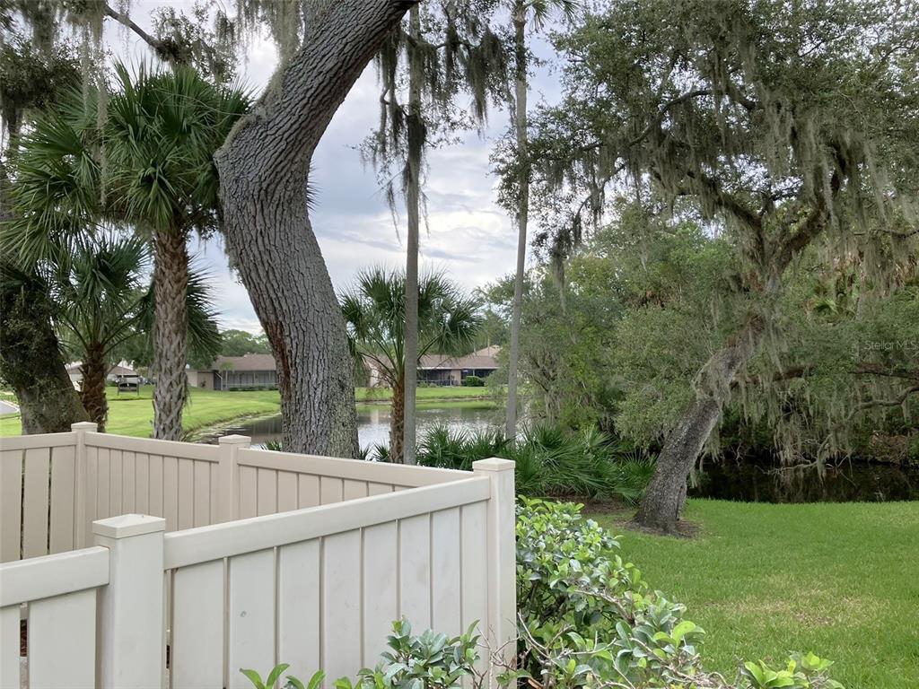 110 EVELYN COURT, OLDSMAR, FL — photo 3 of 30