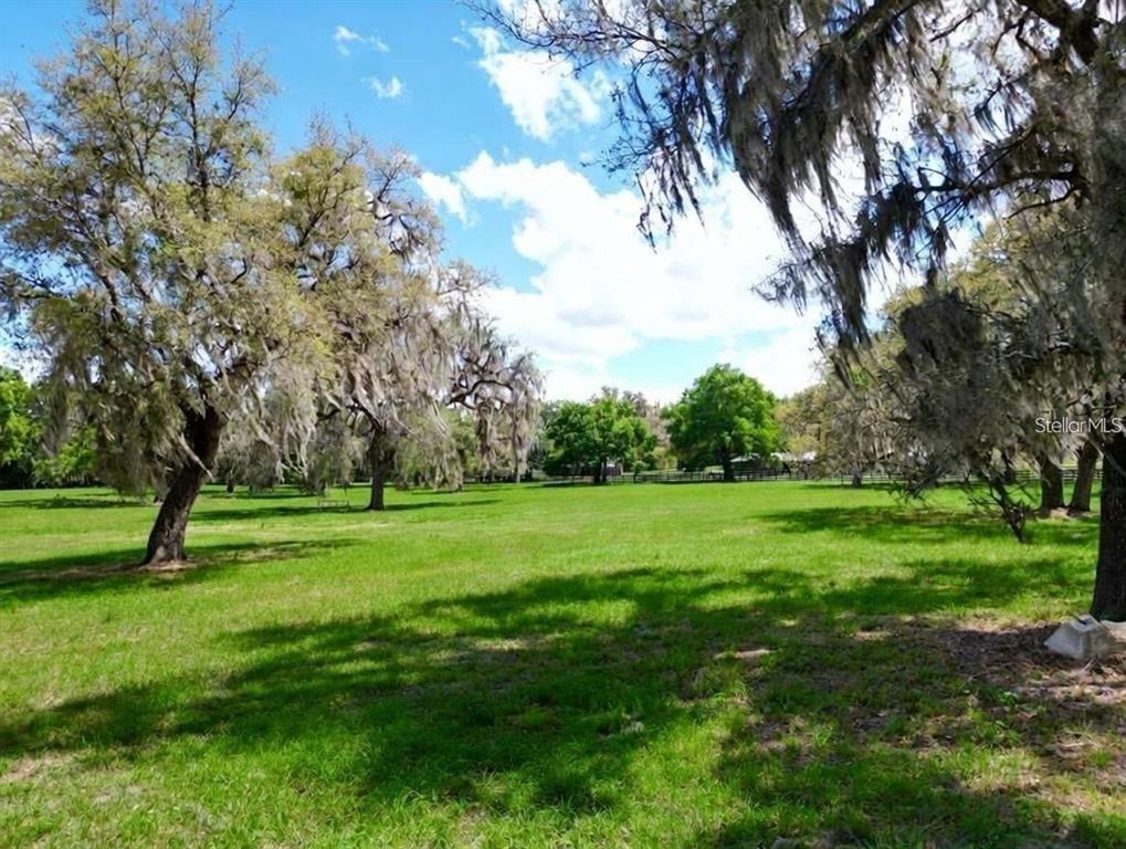 TBD SE 115TH STREET, BELLEVIEW, FL — photo 2 of 15