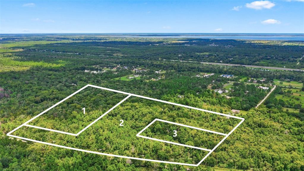 An aerial view shows three outlined plots of undeveloped, forested land — UNKNOWN, MIMS, FL
