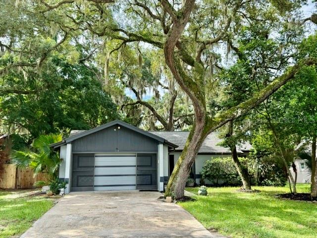113 WINDING RIDGE DRIVE