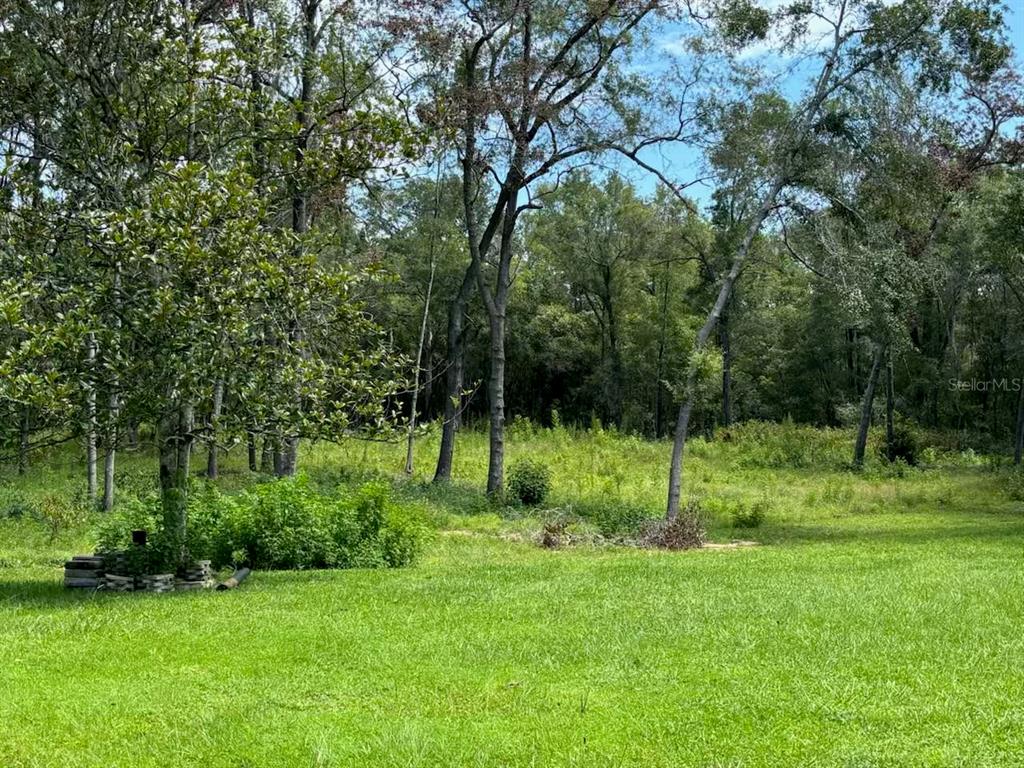 A grassy yard leads to a dense wooded area with tall trees under a blue sky — 12125 NW 100TH STREET, OCALA, FL