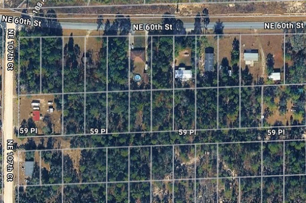 NE 59TH PLACE, BRONSON, FL — photo 2 of 5