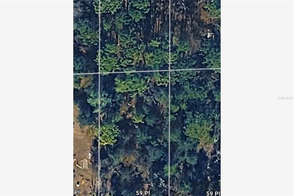 NE 59TH PLACE, BRONSON, FL — photo 4 of 5