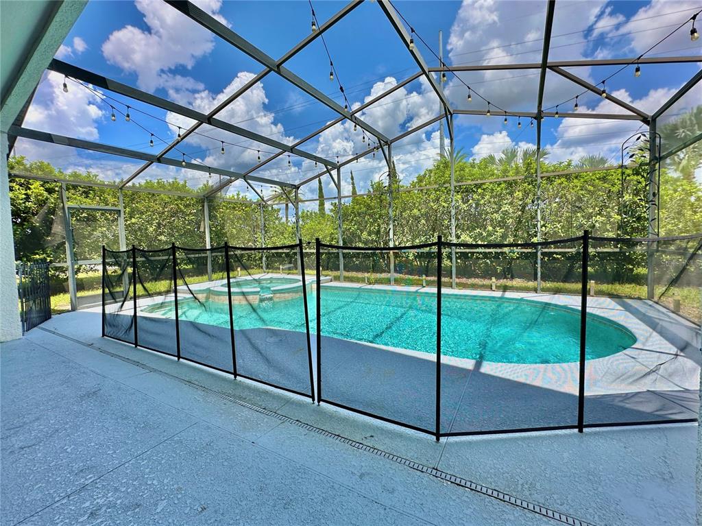 834 OLD BRIDGE CIRCLE, DAVENPORT, FL — photo 3 of 30