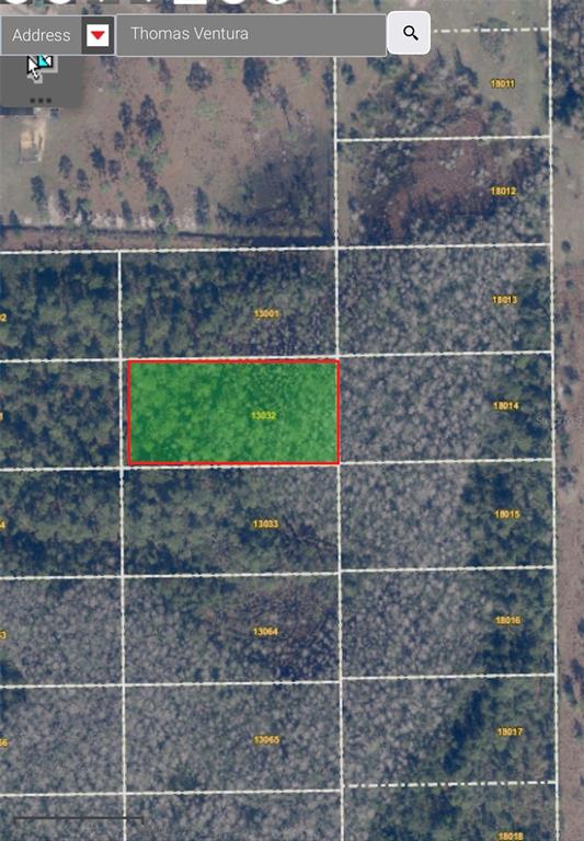 This is an aerial map showing a highlighted rectangular land parcel among surrounding wooded lots — DILL ROAD UNIT 320, ORLANDO, FL