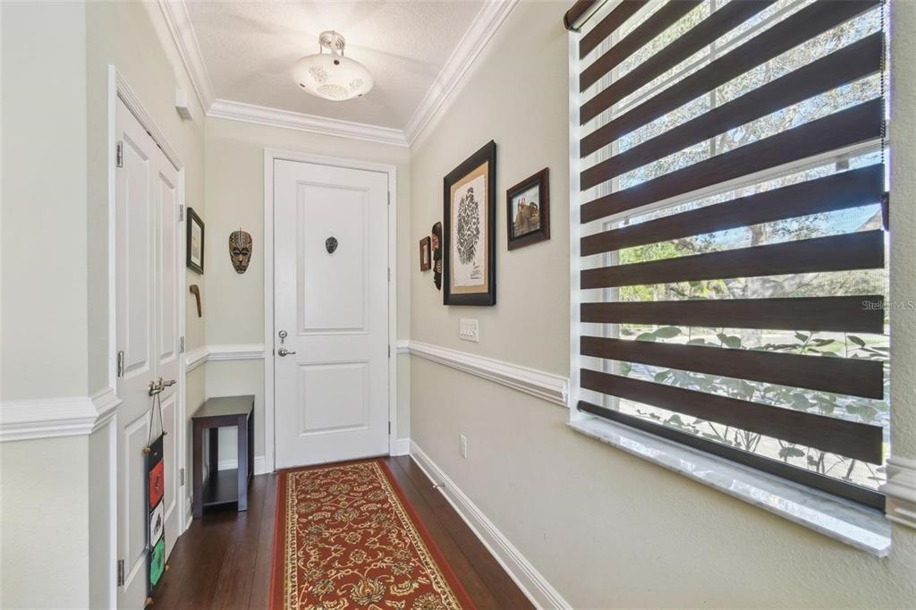 An entryway features a white door, dark wood flooring, a patterned runner, and a large window — 11329 RAVINIA PARK BOULEVARD, TAMPA, FL