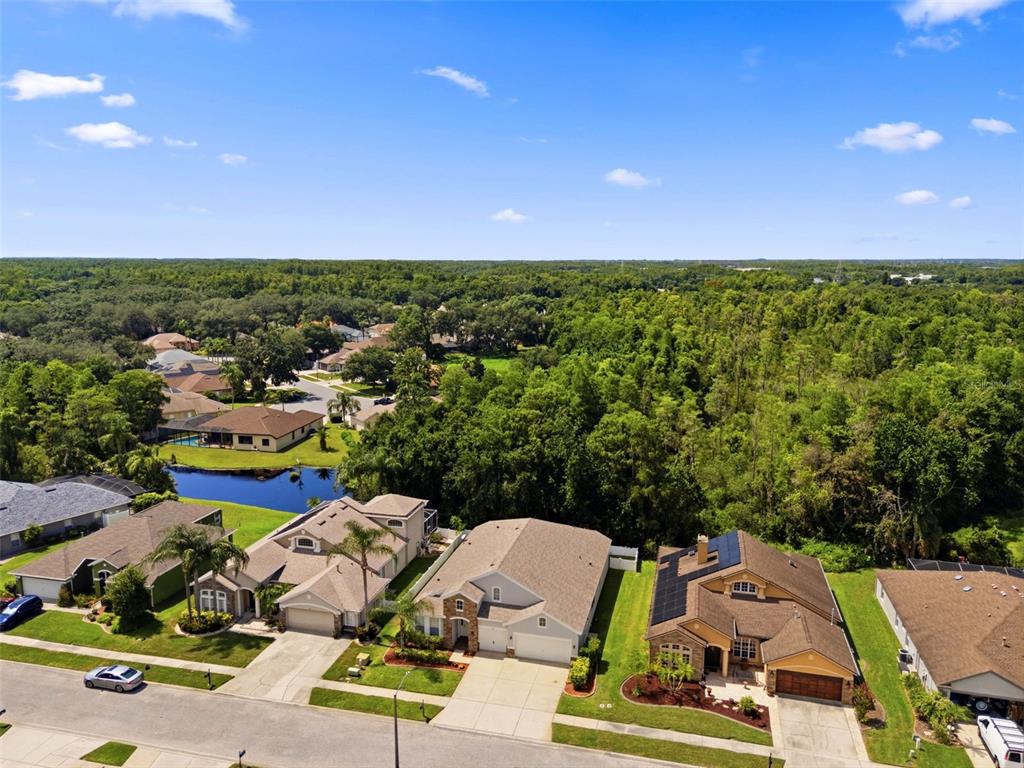 An aerial view shows suburban houses with driveways, a small pond, and dense surrounding trees — 1501 FLATWOOD COURT, TRINITY, FL