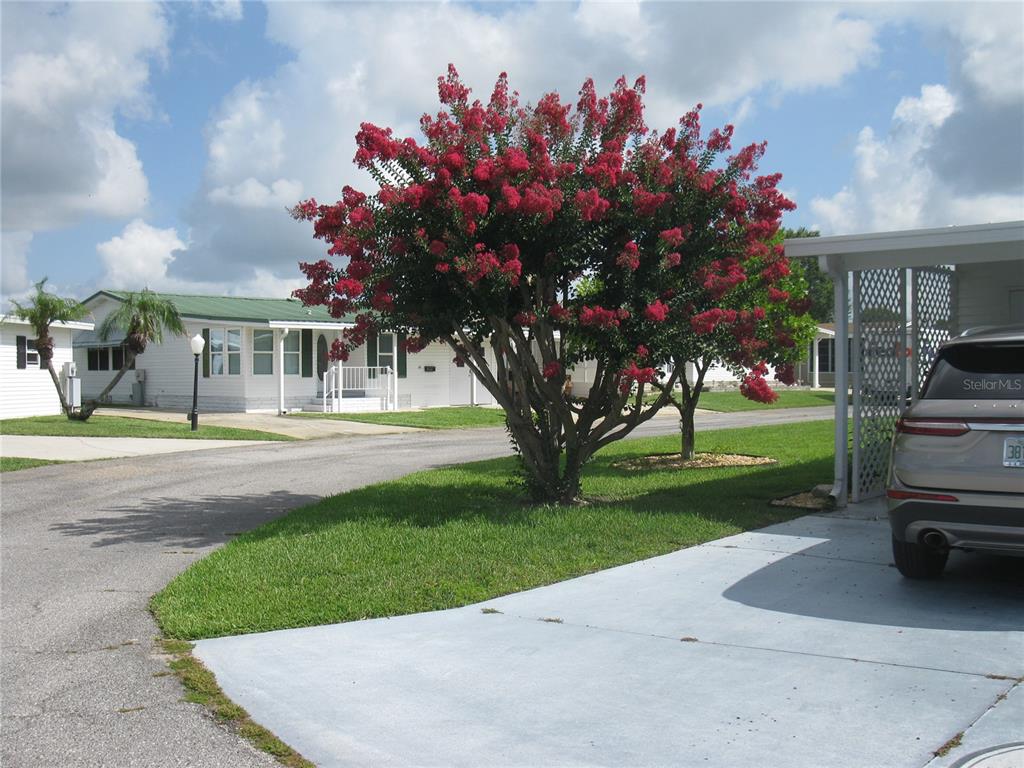 A vibrant red crape myrtle tree stands in the front yard of a mobile home — 326 VICTORIA DRIVE, HAINES CITY, FL