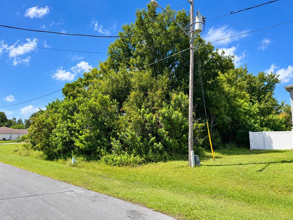 1005 CANNES DRIVE, KISSIMMEE, FL — photo 3 of 4