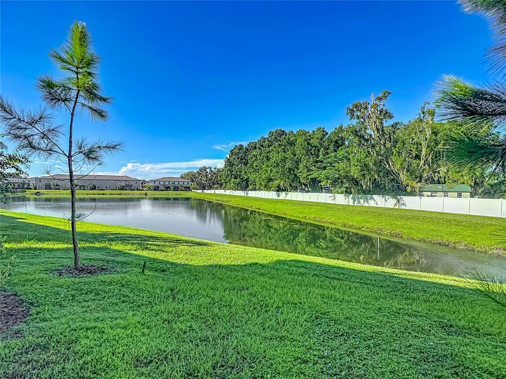 6279 SHINER STREET, LAND O LAKES, FL — photo 2 of 30