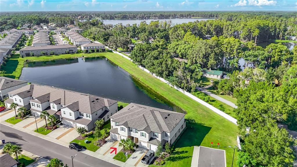 6279 SHINER STREET, LAND O LAKES, FL — photo 4 of 30