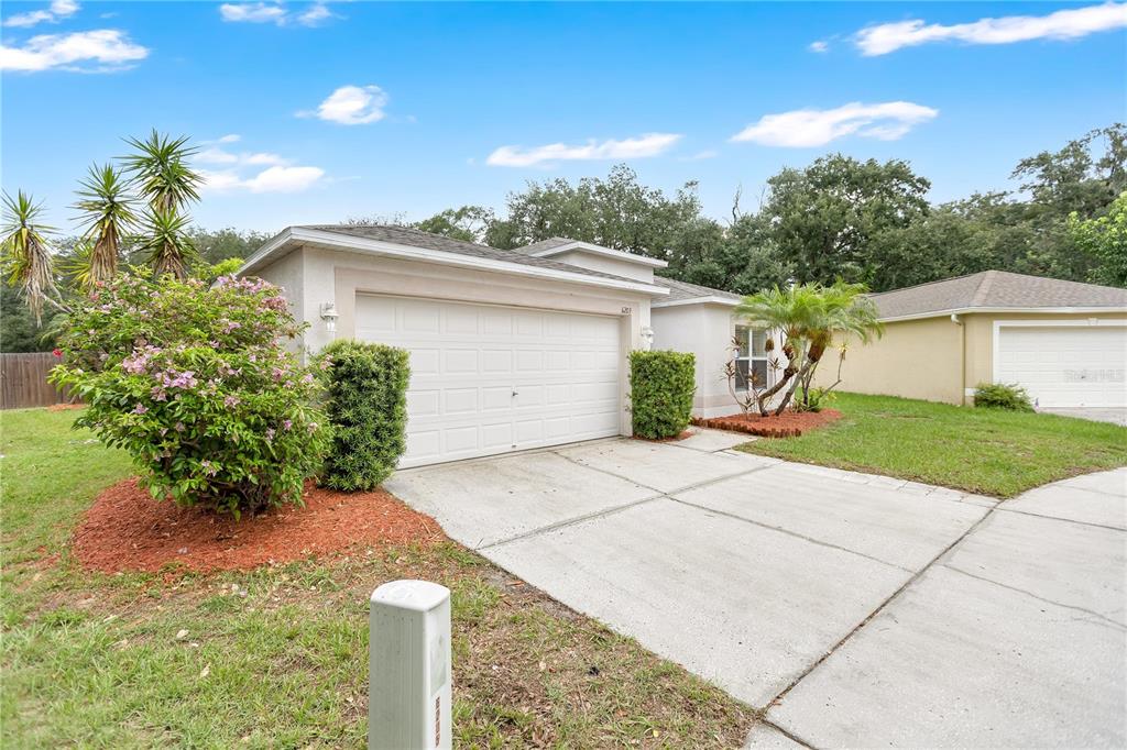A single-story house with a white garage door, concrete driveway, and landscaped front yard — 6203 VENEZIA PLACE, RIVERVIEW, FL