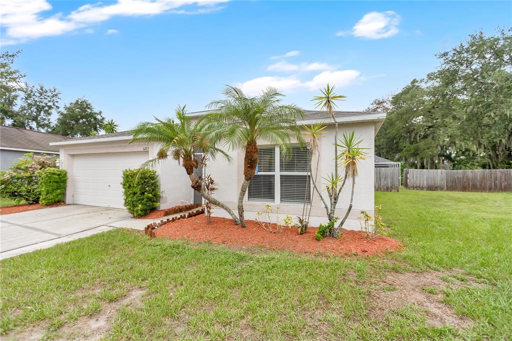 The exterior of a single-story house features a garage, a palm tree, and red mulch — 6203 VENEZIA PLACE, RIVERVIEW, FL