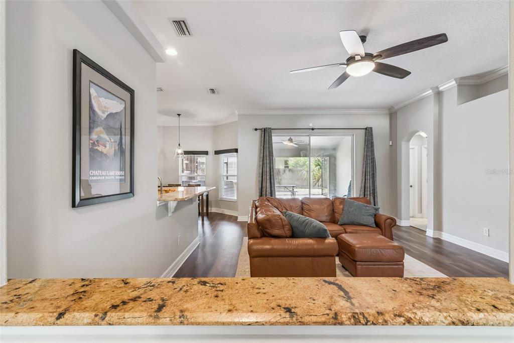 A living room features a brown leather sectional, dark wood floors, and a granite countertop — 242 BLUE WATER STREET, EUSTIS, FL