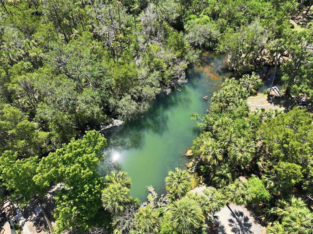 An aerial view shows a natural spring surrounded by dense trees and lush vegetation — 6244 COLONY CIRCLE, WEEKI WACHEE, FL