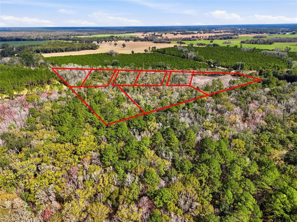 An aerial view shows a wooded plot of land outlined in red — 20994 SW COUNTY ROAD 18 Lot 6, BROOKER, FL