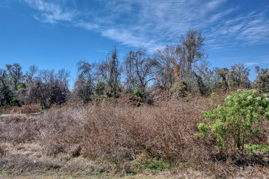A vacant, overgrown lot features dry brush and several tall, leafless trees under a blue sky — 3RD ST, MONTVERDE, FL