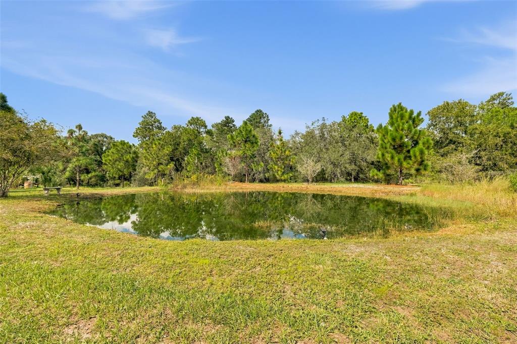 8743 OSTROM WAY, WEEKI WACHEE, FL — photo 3 of 99