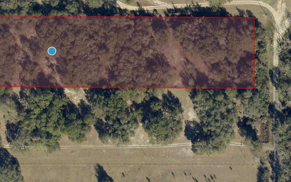 An aerial view shows a rectangular, wooded plot of land outlined in red — 00 KEEDY ROAD, LADY LAKE, FL