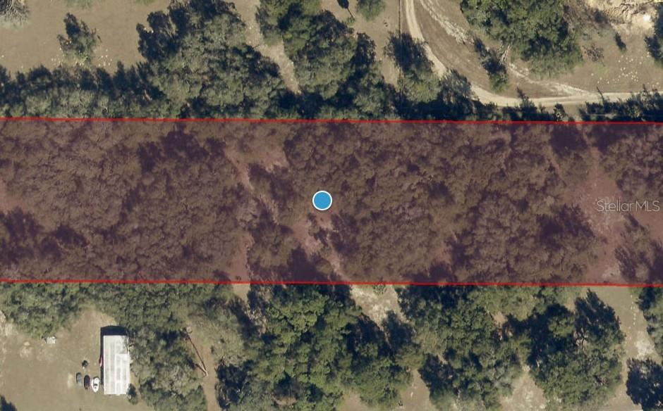 This aerial view shows a rectangular wooded lot outlined in red — 00 KEEDY ROAD, LADY LAKE, FL