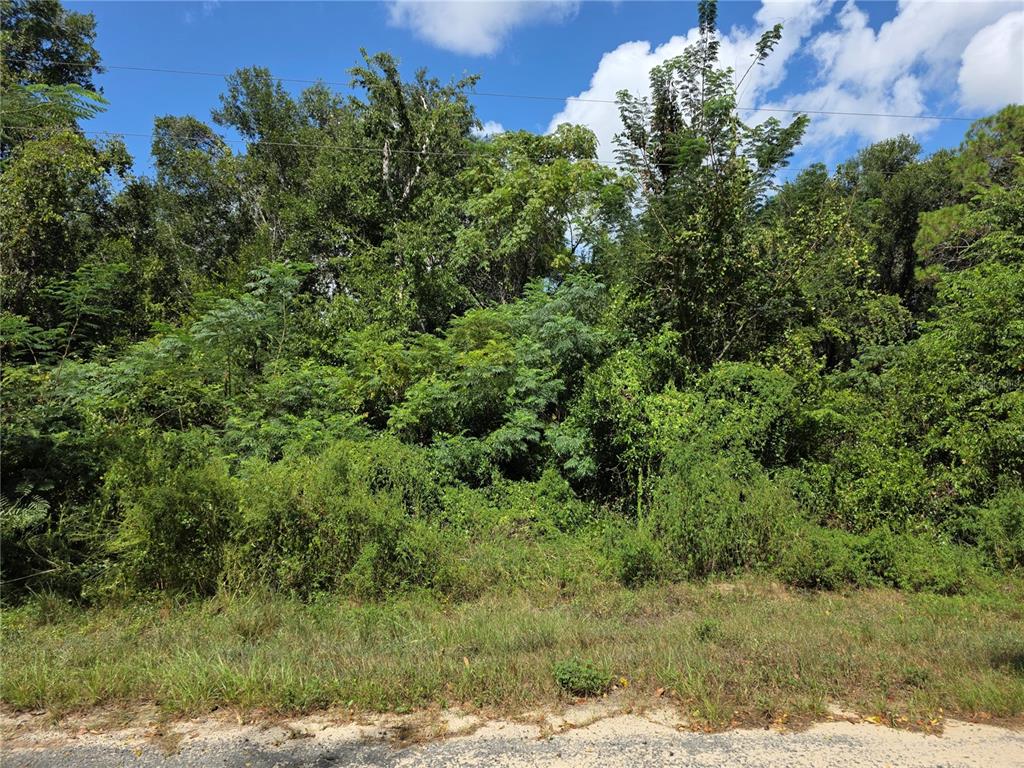 00 KEEDY ROAD, LADY LAKE, FL — photo 4 of 14