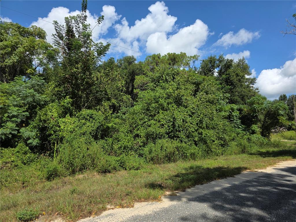 00 KEEDY ROAD, LADY LAKE, FL — photo 5 of 14