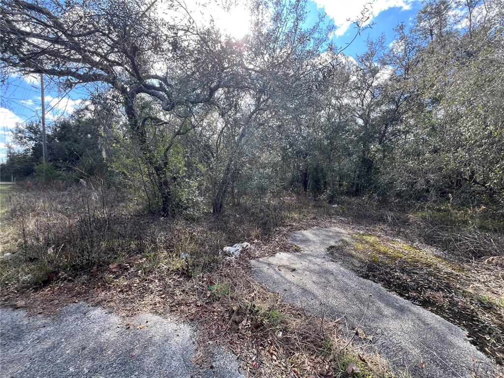 LOT 7 HAYS RD, HUDSON, FL — photo 2 of 2