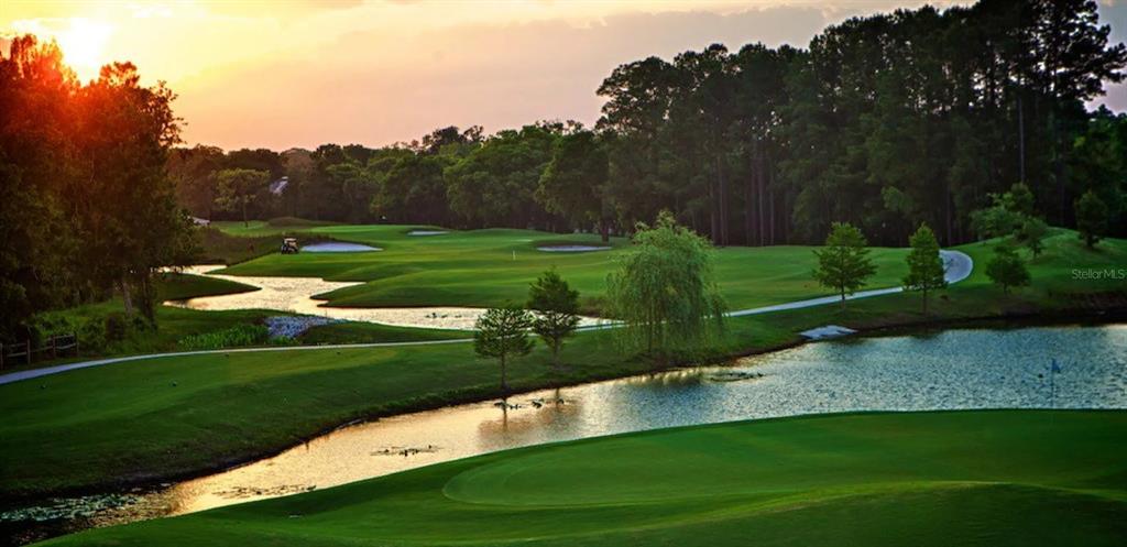 A golf course fairway winds past a pond and trees under a sunset sky — 3601 MIDIRON DRIVE, WINTER PARK, FL